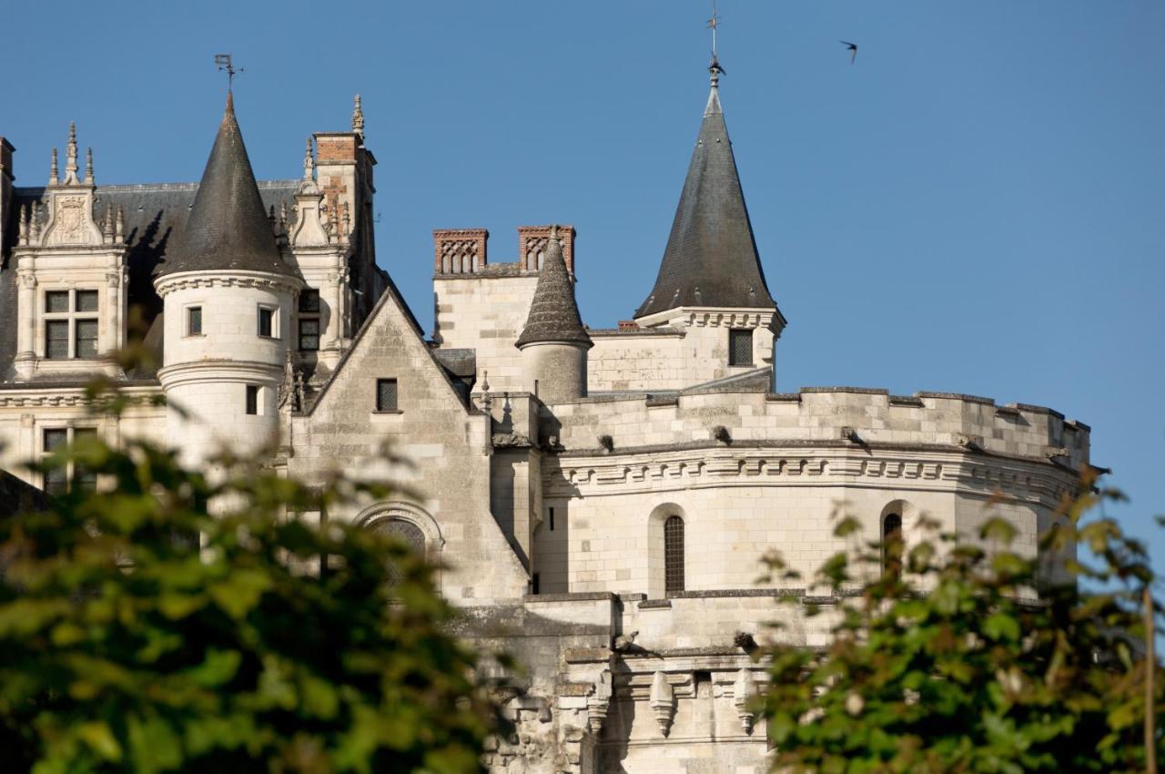 Le Manoir Les Minimes Hotel Amboise Bagian luar foto